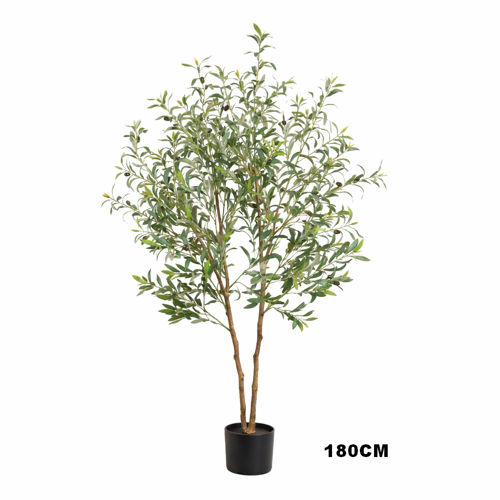 Olive Tree 150CM/180CM